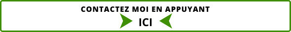 marabout voyant africain Ogou